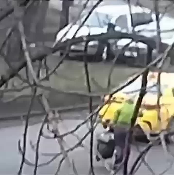 ��������, ������ ���������