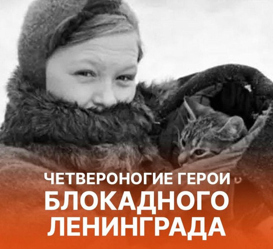 ������������ �����: ������������ � �������� ������� ����� ������� �� ����� ��� � ��������� ����������