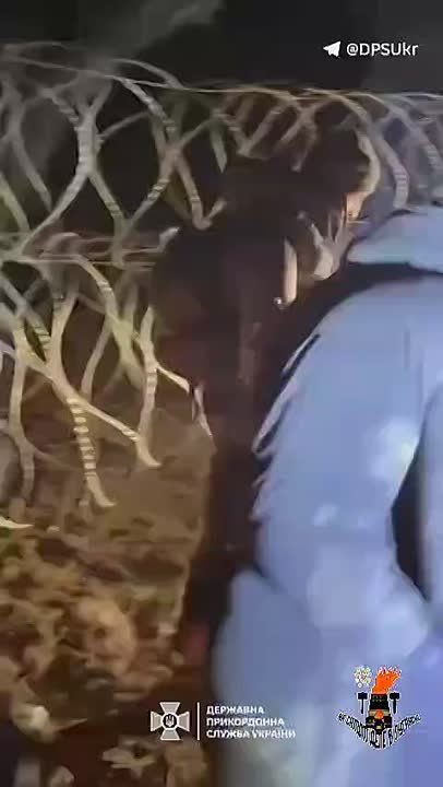���� ��� �� ������ ������ �������