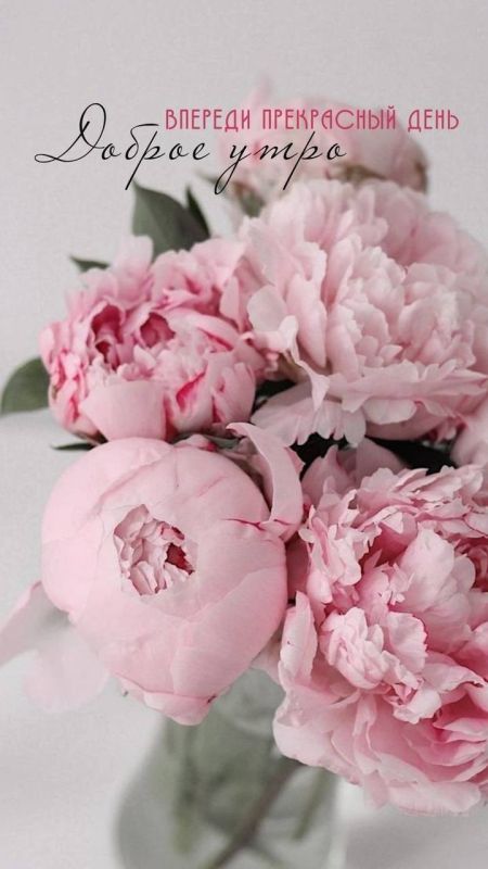 МинфинЛНР. ВАЖНО. Правительство ЛНР приняло распоряжение, которое позволит выплатить задолженность по заработной плате работникам государственных промышленных предприятий Речь идет о долгах по зарплате, в том числе...