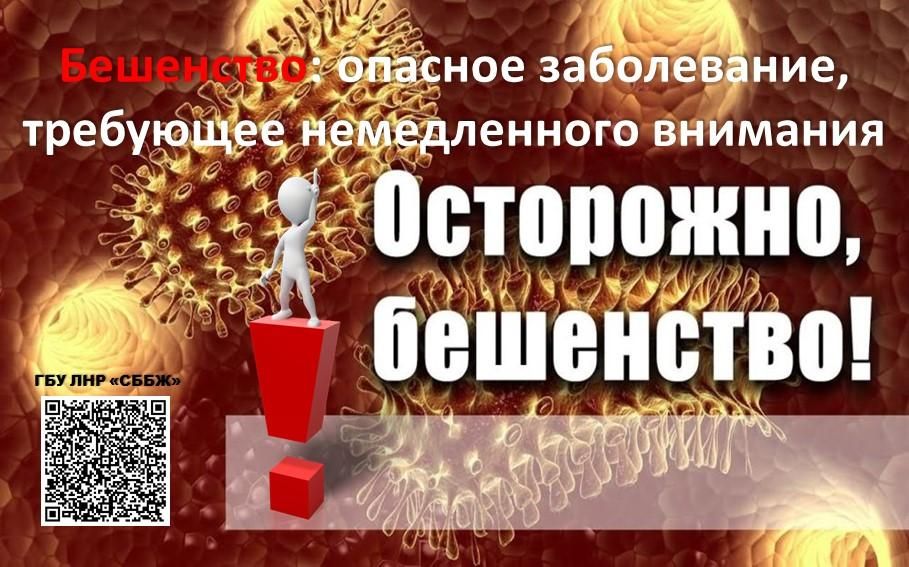 ������ ��������: ���������: ������� �����������, ��������� ������������ ��������