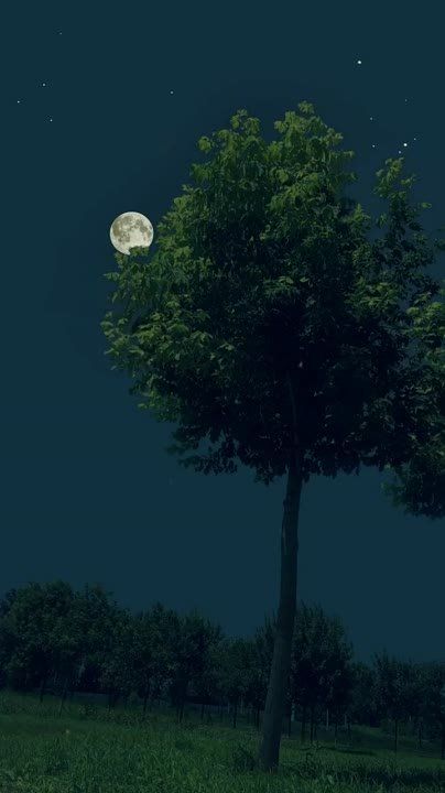 ���� ������, �������� ���������� � ���� �������� � ������