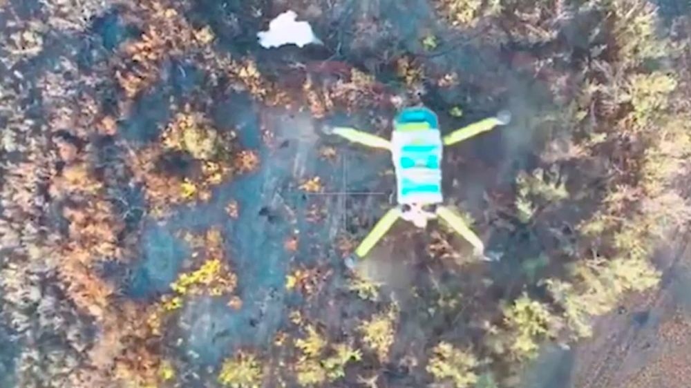 �� �� �������� ����������� ���������� ���� ������������