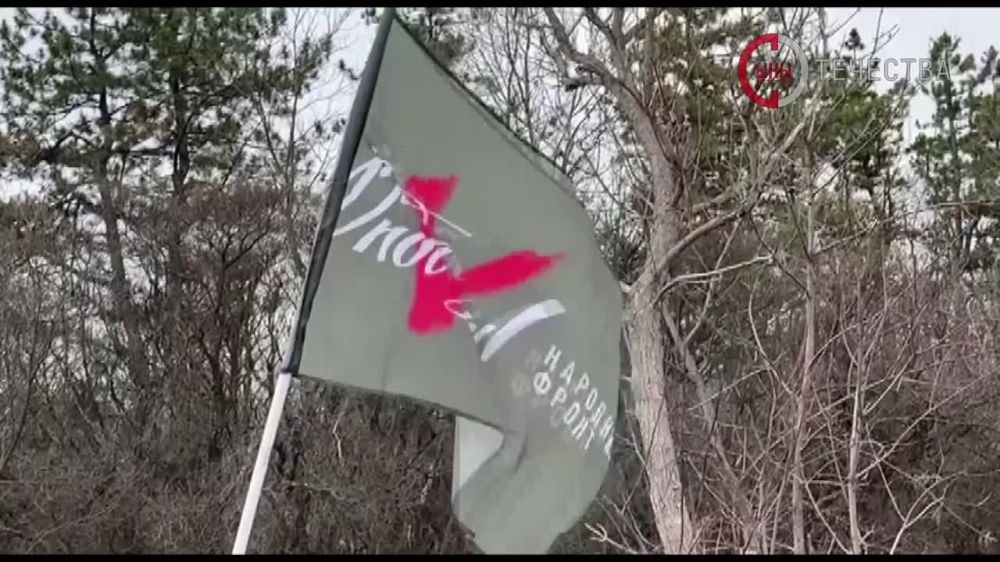 �������� ����� ������� 3 �������������� ������� ������������ ���� �� 14 ��������� ������