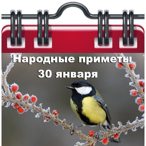 �������� ������� 30 ������