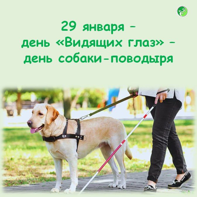 ������-�������� � ��� ���������� ��������� ��������, ������� �������� ����� � ���������� ������ ��������������� � ������������, ��������� ������������� � ����� �������� ����� �����