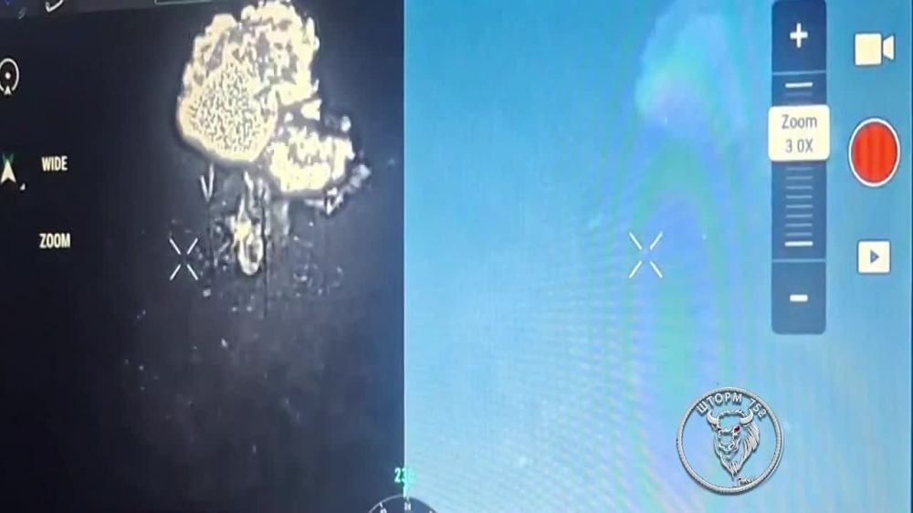 ��� ������: ������ ����������� ���� ���������������