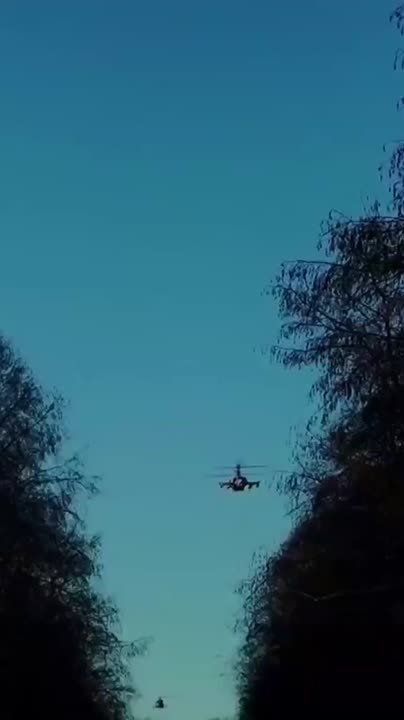 ����� �� �������! ����� ���������� ��������!