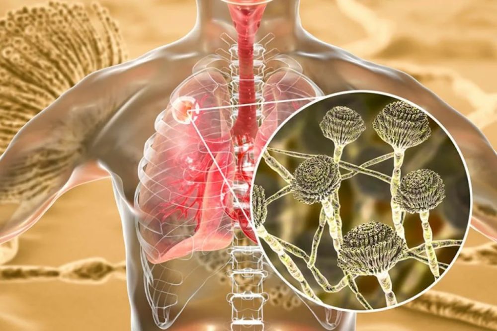 ������� �������: ��������� ���� ������������