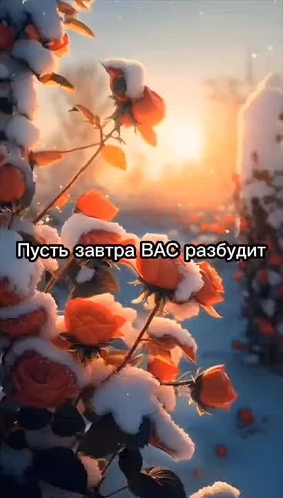 �������� ��� ��� ���