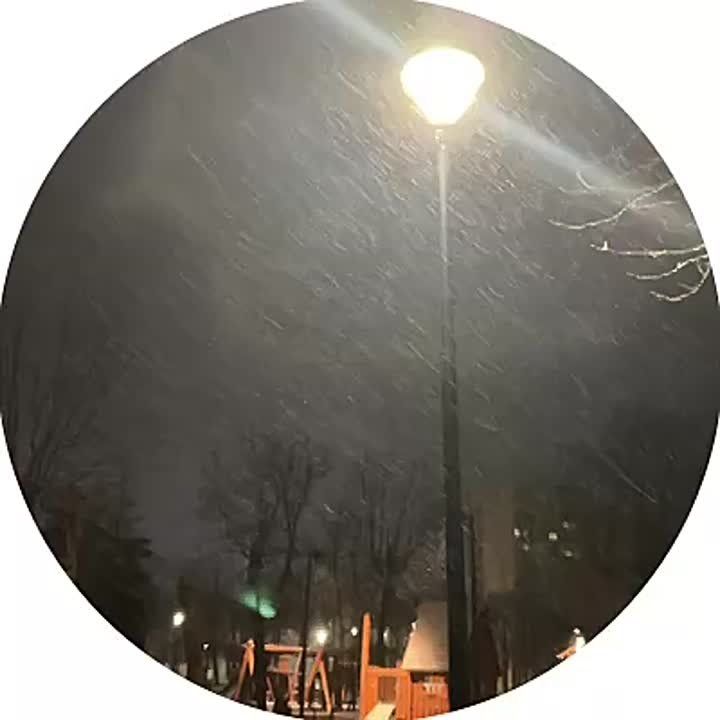 � �������� ������� ��������� ����������� ��������