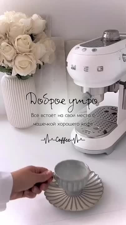 ���� ����� ����� � ����� �����������