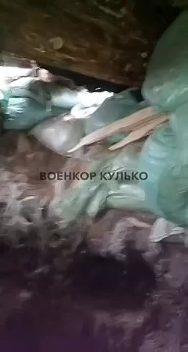 ������ ������� ��� � ������������ ����������� ���