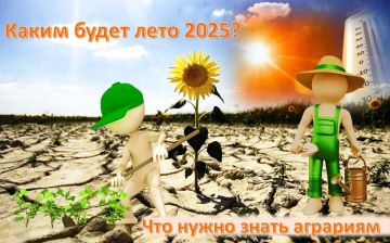    2025    :  ,     