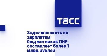 Задолженность по зарплатам бюджетников ЛНР составляет более 1 млрд рублей