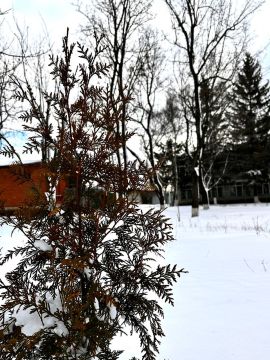 С добрым утром, жители Марковского муниципального округа!