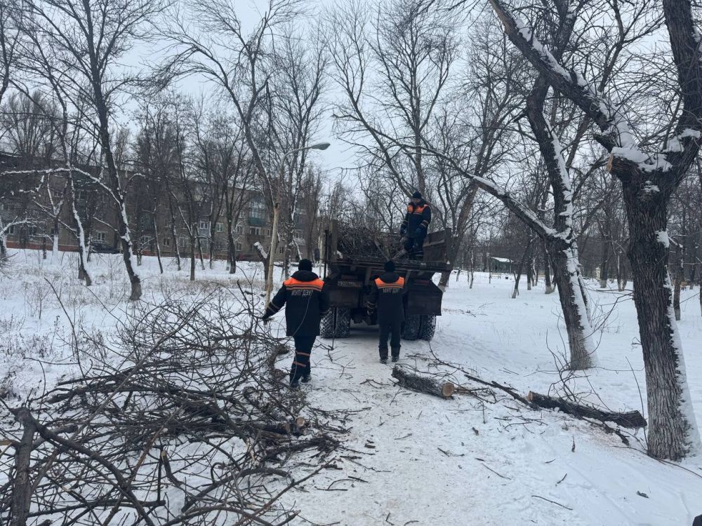 Сергей Козенко: В Молодогвардейске сотрудники МУП «Дорожно-эксплуатационное управление» провели плановую обрезку деревьев в городском парке
