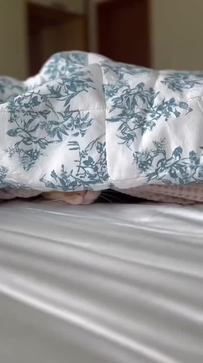 � ������ �����, ������������� �����!