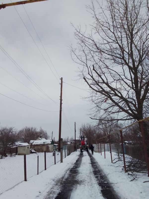 Сергей Козенко: В селе Верхнешевыревка успешно проведены работы по обрезке аварийных деревьев, которые представляли угрозу для линий электропередач