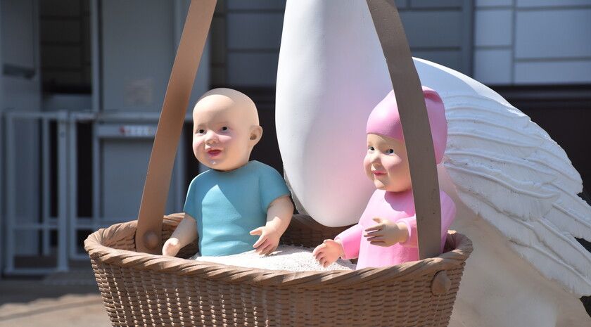 ������ �������� � ��� �� �������� ������ � ��������