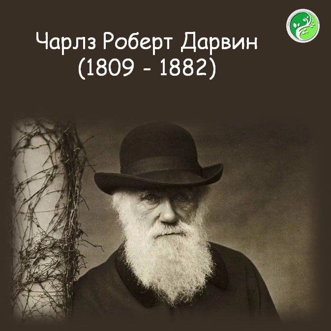12 ������ ������� ����� ������ ������ (1809 - 1882) - ���������� ������������������