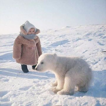 Доброе утро. Всем хорошего дня