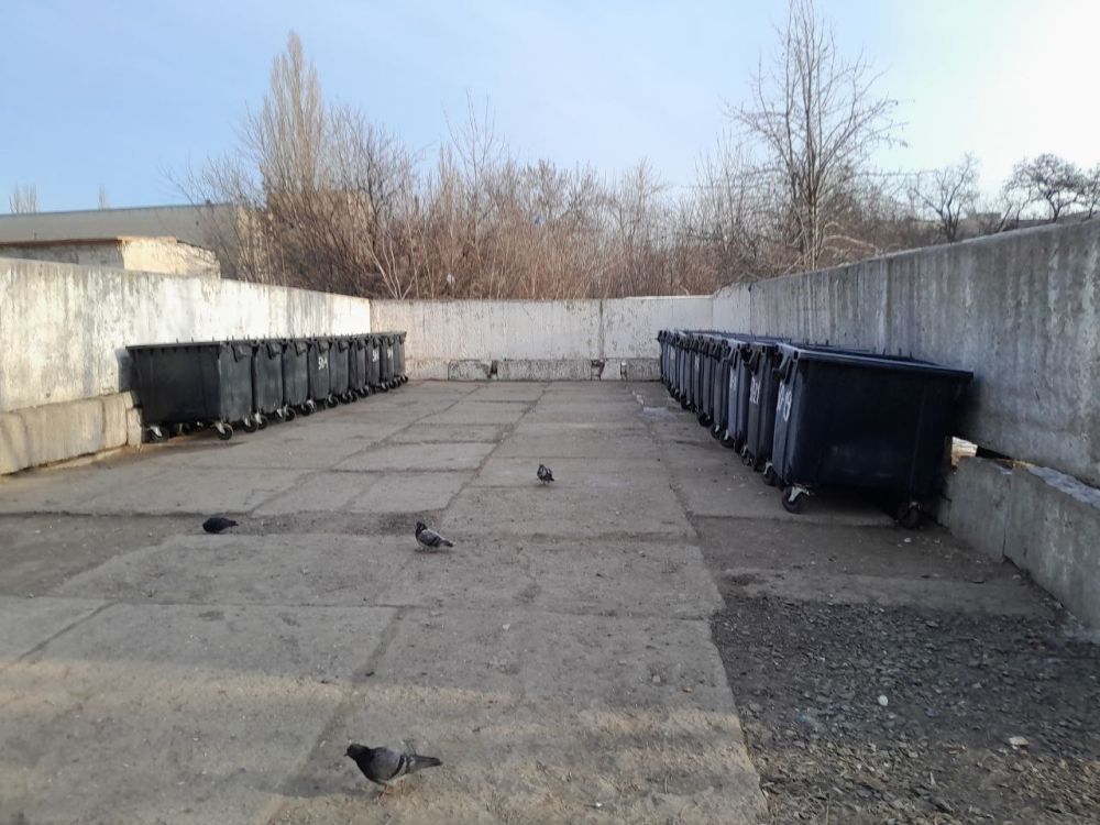 �������� ��������: ������������ ����������� � ��������