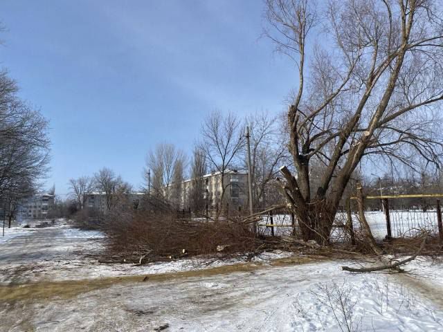 В Суходольске провели частичную обрезку деревьев