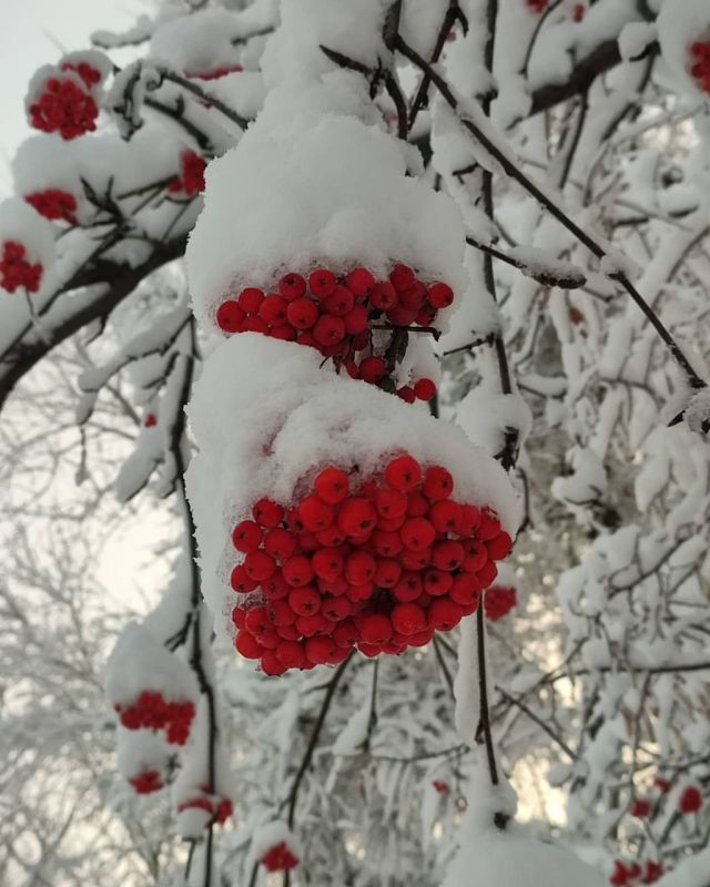 ������ ���� ���������!. ������� ������������ ������� � ��������! �� ������ �������� ���, ��������� ����������! ����� ������� ��������� ���-�� �������� � ������, ��� ���������� ����� ����� � �������! � �������...