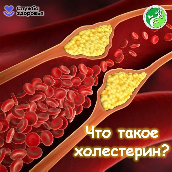���������� � ��� ������������ ����������, ������� ������ ������ ���� � ��������� ��������