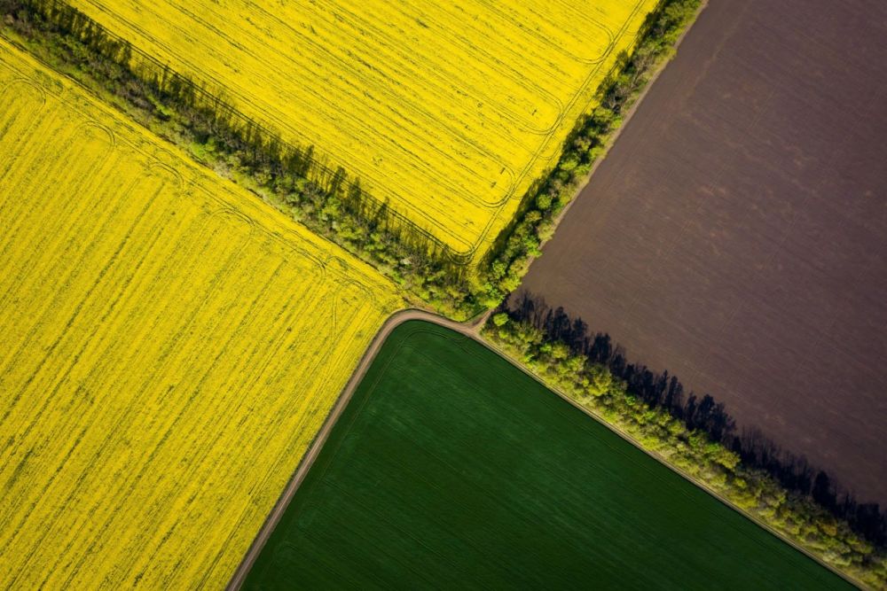 �������������� ������ ��������������������� ���������� � ������� � ��������������� ��� ��������� ����� 19% �� ����� �������