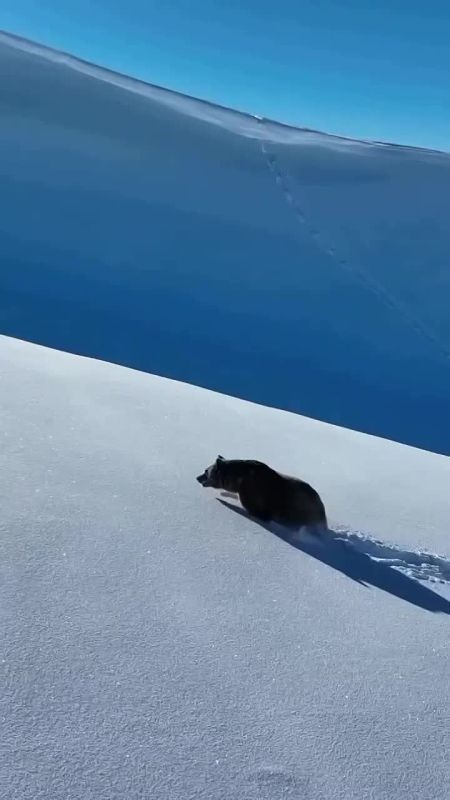 ������ � ����� ������� ������ ������� ���������� ����� �������