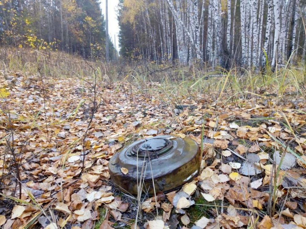 ������� �������������� ����� �� ���������� ��� ���������� ����� 105 ���