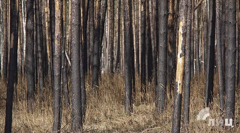 �������� ����� �������� ������ ����� ������� ����� ���, � ������ �������� � ���������� ���������� ����� 50 ���