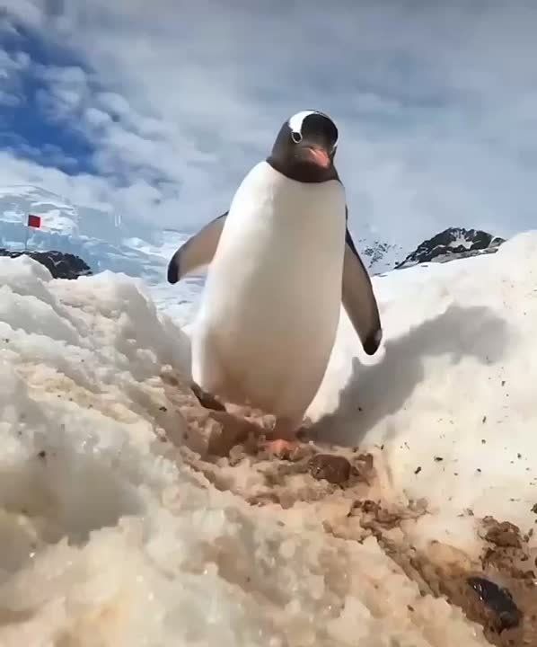 ������������� �������. ��� ����� �������� � ������� ����� ��� � ��� ������, �������� �� ������, ������� ���