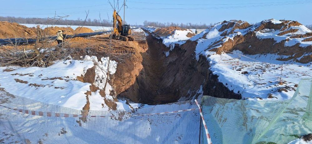 ������ ��������: ��������� ����� 50 % ����� ���� ����� ����� ���������������� �������������� ��������