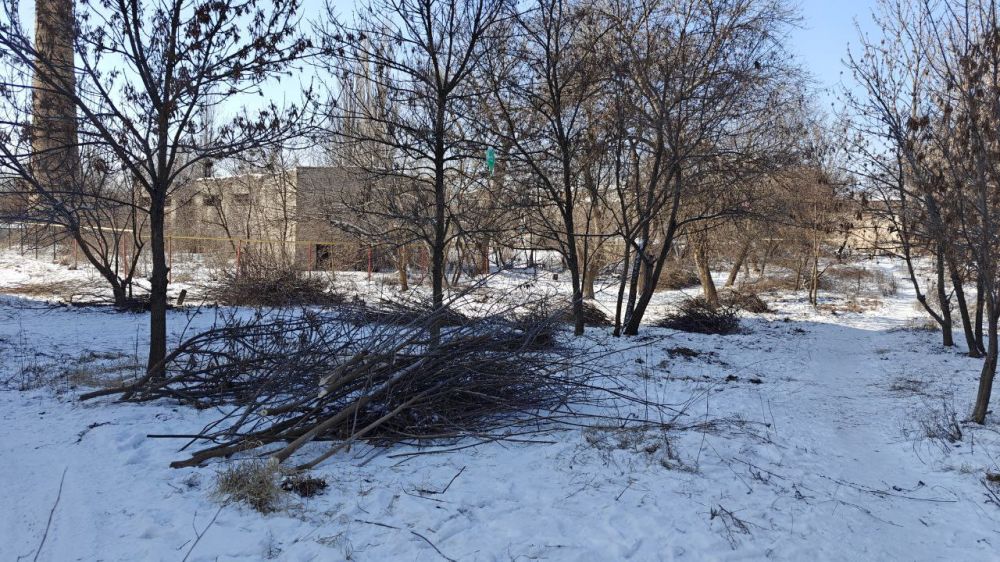 �������� ��������: ������������ ����������� � ��������