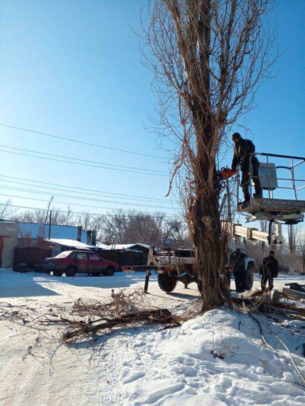 �������� ��������: ������������ ����������� � ��������