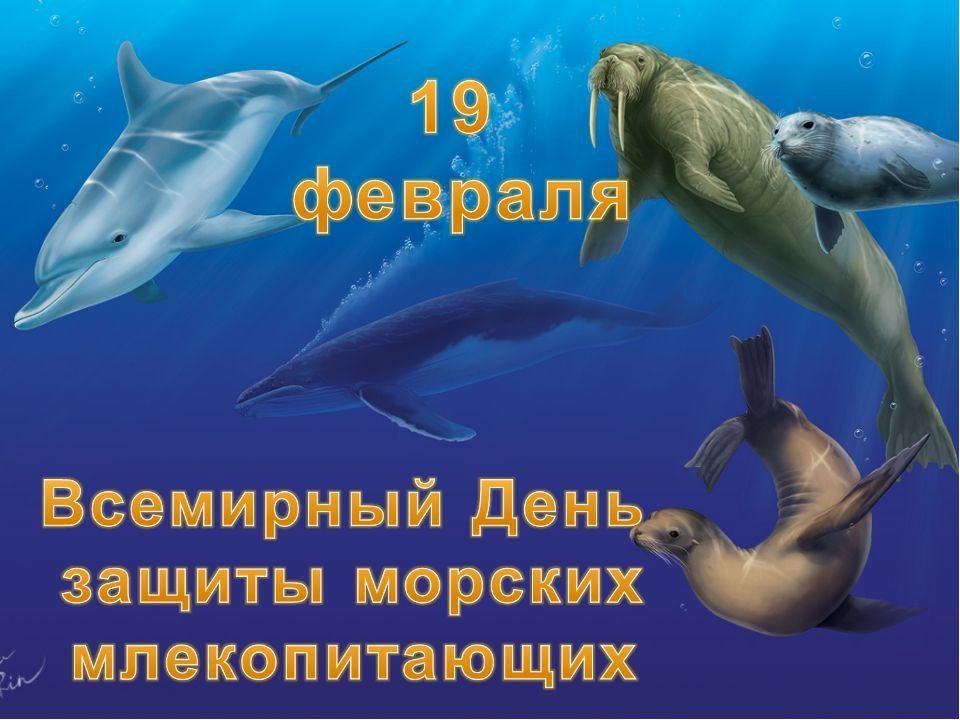 19 �������. ��������� ���� ������ ������� �������������