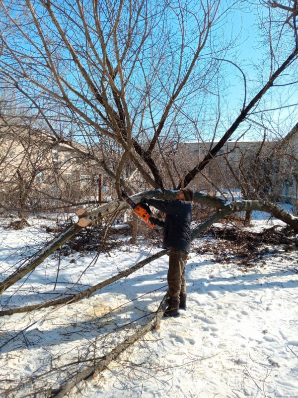 �������� ��������: ������������ ����������� � ��������