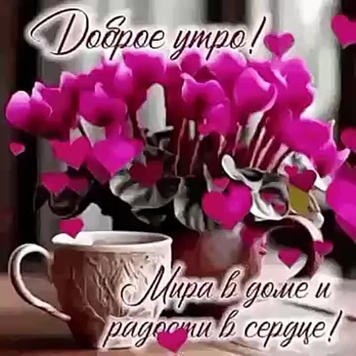 � ������ �����, ������������� �����!