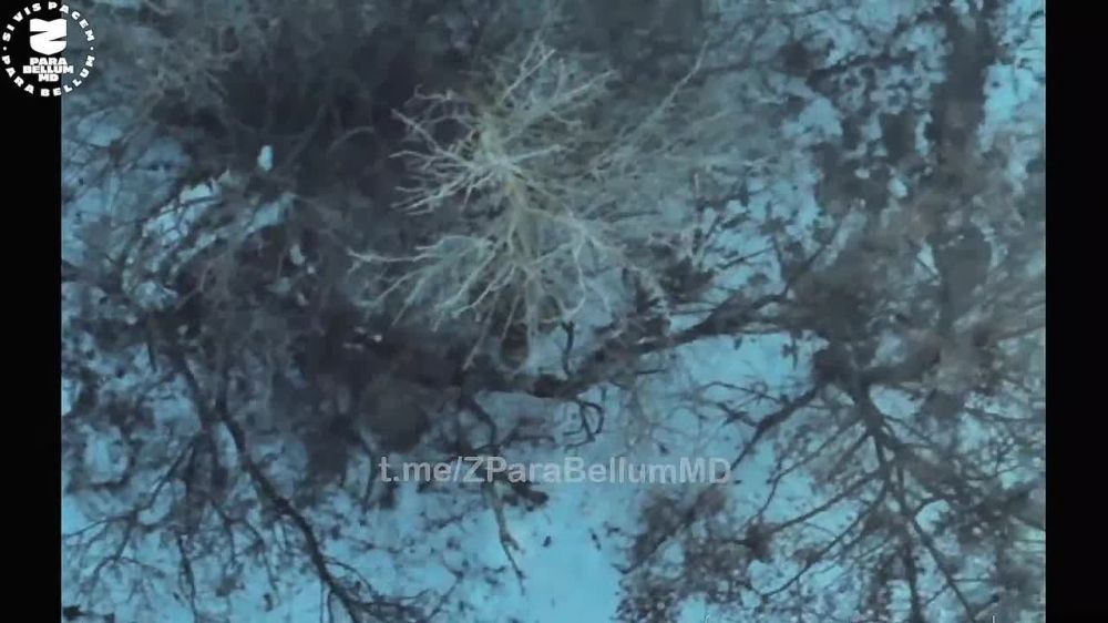 ПРОДОЛЖАЕМ СБОР ДЛЯ ПОДРАЗДЕЛЕНИЙ КУРСКОЙ ОБЛАСТИ, ГРУППЫ ЛЮТОГО И ЭКИПАЖА ПСО: БРОНЕЖИЛЕТЫ, ШЛЕМЫ, МЕДИЦИНА