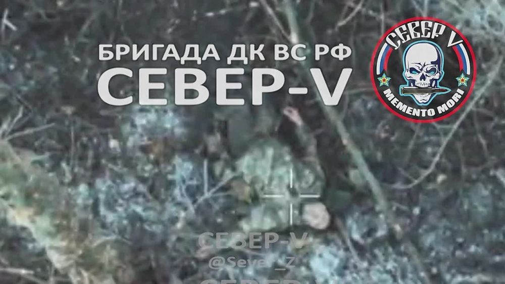 ������� �����-V ���������� ������ ��� � ������ ������ ���, �������� ���������� � �����