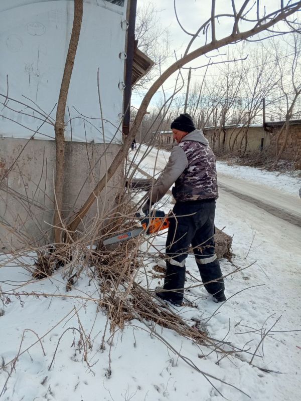 �������� ��������: ������������ ����������� � ��������