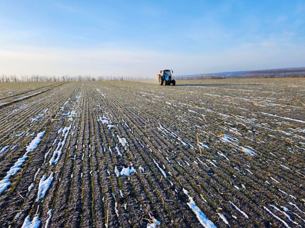 �������� ������: �������� ��������� ������ ������� � ������������� ������������� ������