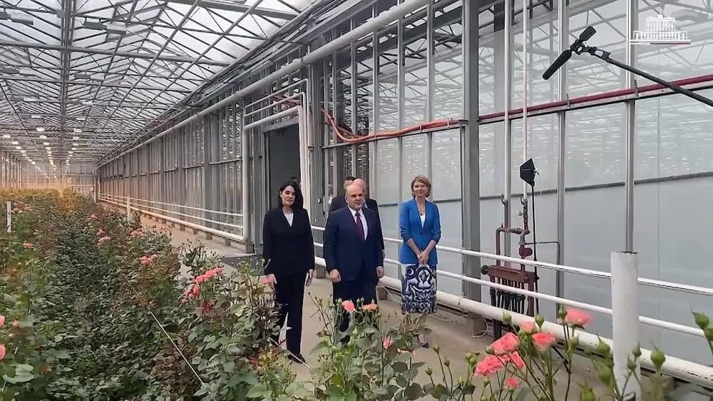 ���������� ������� ������ �������� � ���������� 8 ����� ������� �������������� ����������� ���������� �������� � ��������� � ������������ ��������