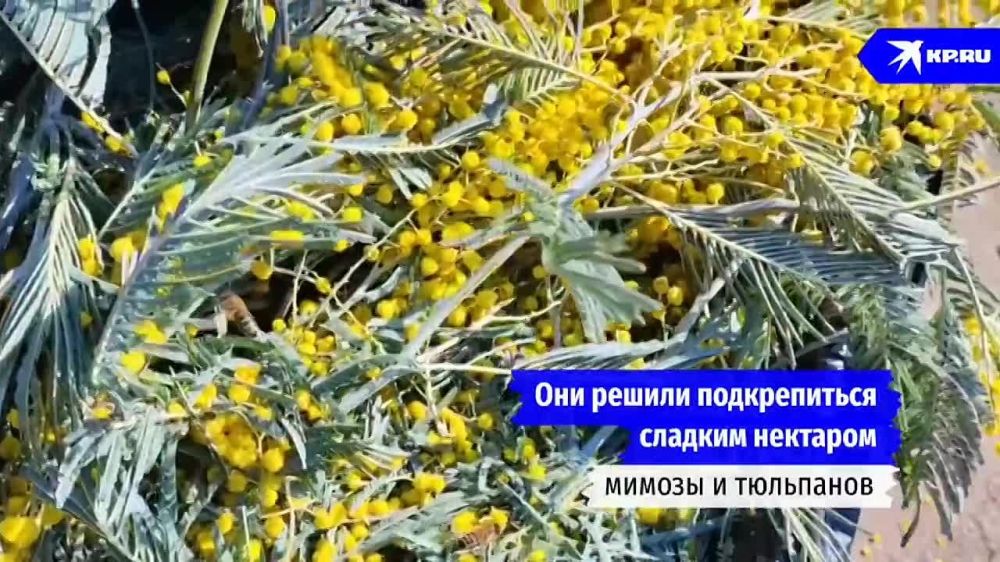 � ��������� � ������� ��������� �����