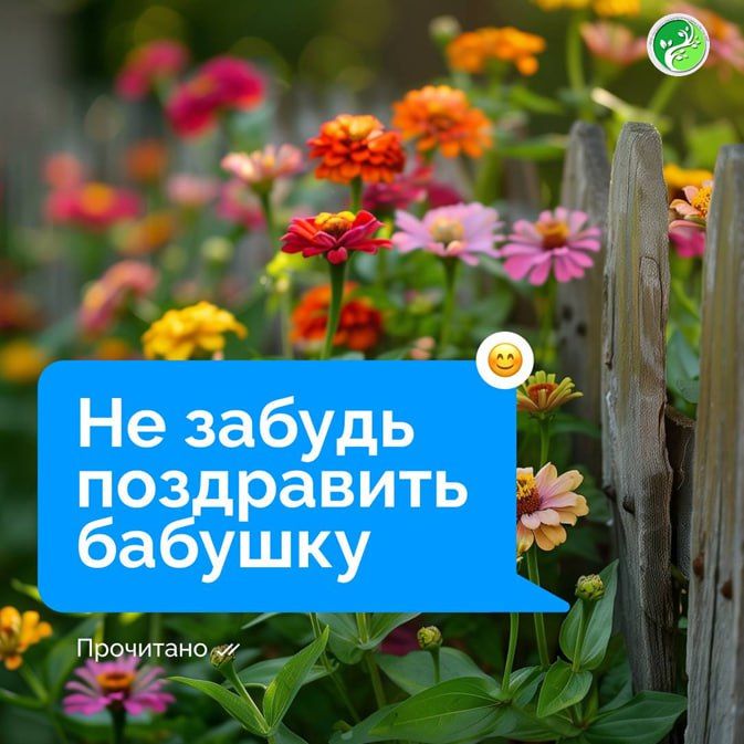 � ���� ���� ����� ���������� ����� ������� ������