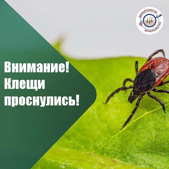 � ����� � ��������� ����� ������� � ���� ���� ���������� ������ �������� ������ ��������, ������� ����� ���� � ����� ��������� ����������� � �����, ��� ��������� ����������� � ������ �����