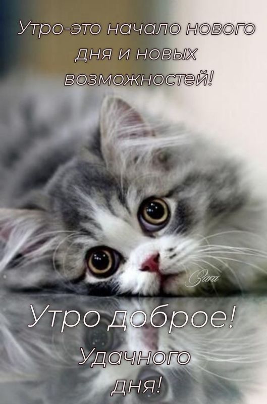 � ������ �����, ������������� �����!